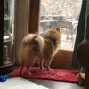 ferretfingers1